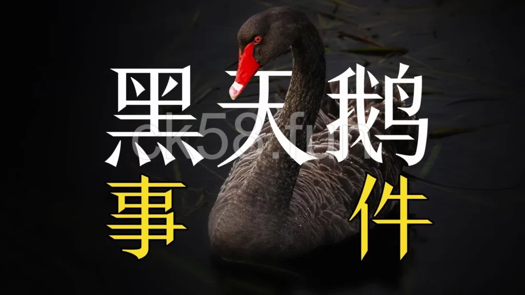 黑天鵝事件往往一發生就損失慘重 黑天鵝事件往往一發生就損失慘重