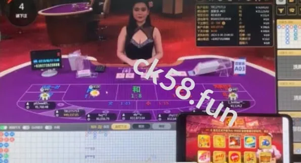 龍王AI-600系統圖 龍王AI-600系統圖